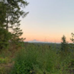 Meet your Posher, Sami